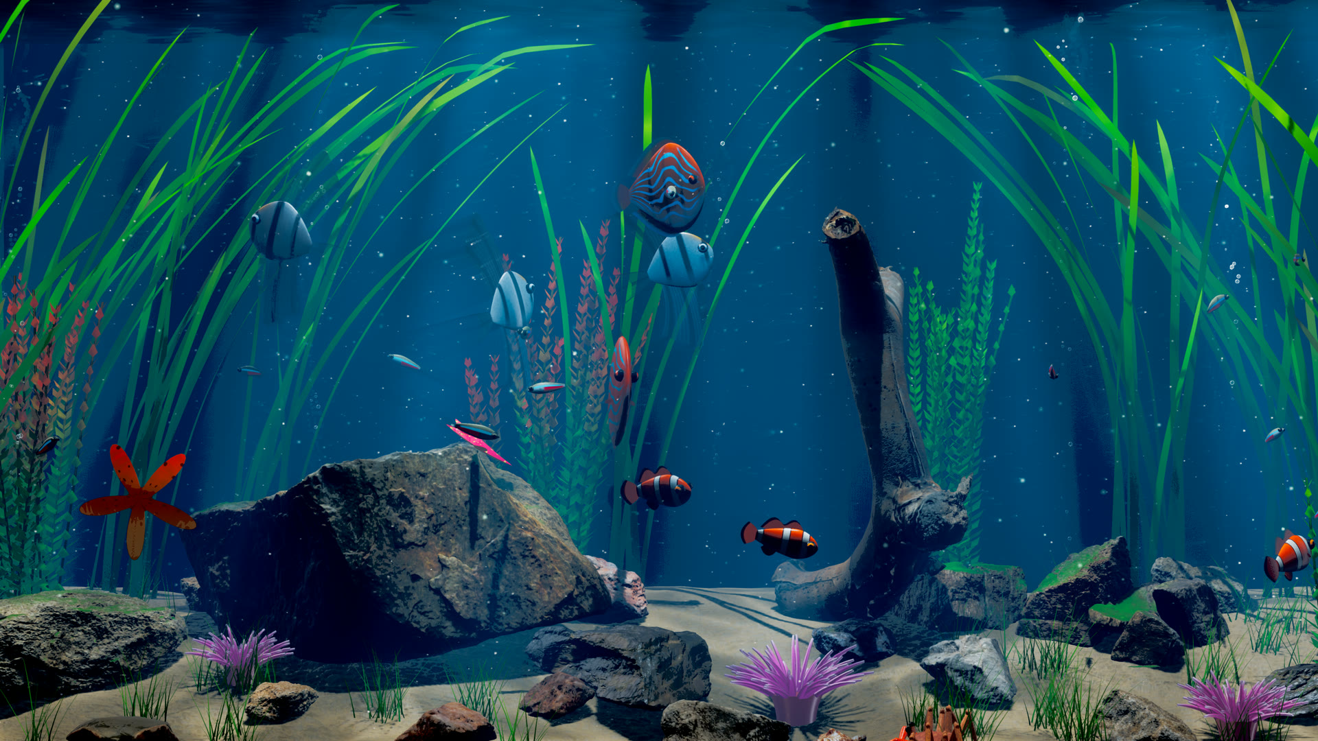 Full view of the aquarium